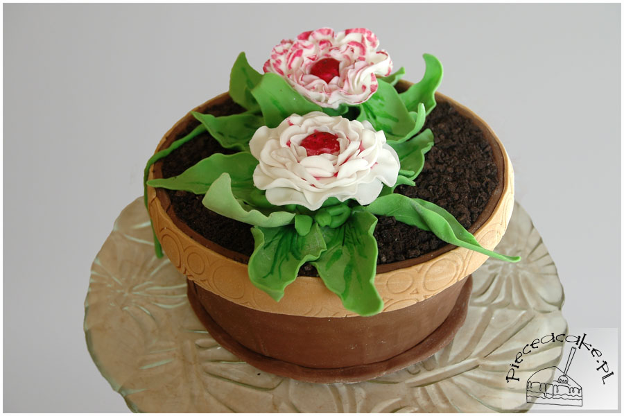 Tort Doniczka