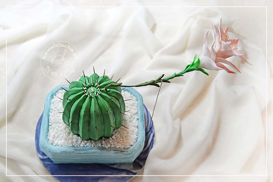 Obrazek: Tort dla mamy w kształcie kwitnącego kaktusa