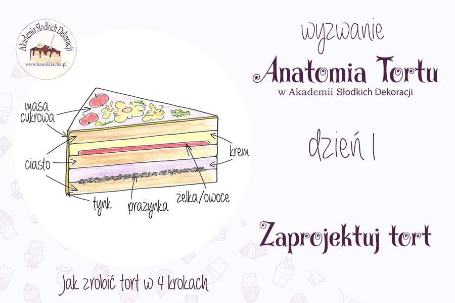 Anatomia tortu - projekt to podstawa