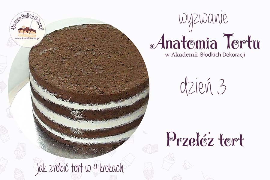 Anatomia tortu - jak przełożyć tort