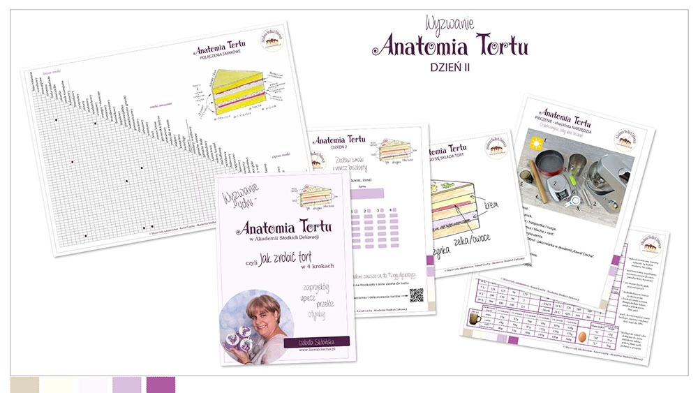 Obrazek: Workbook Anantomia Tortu cz.2