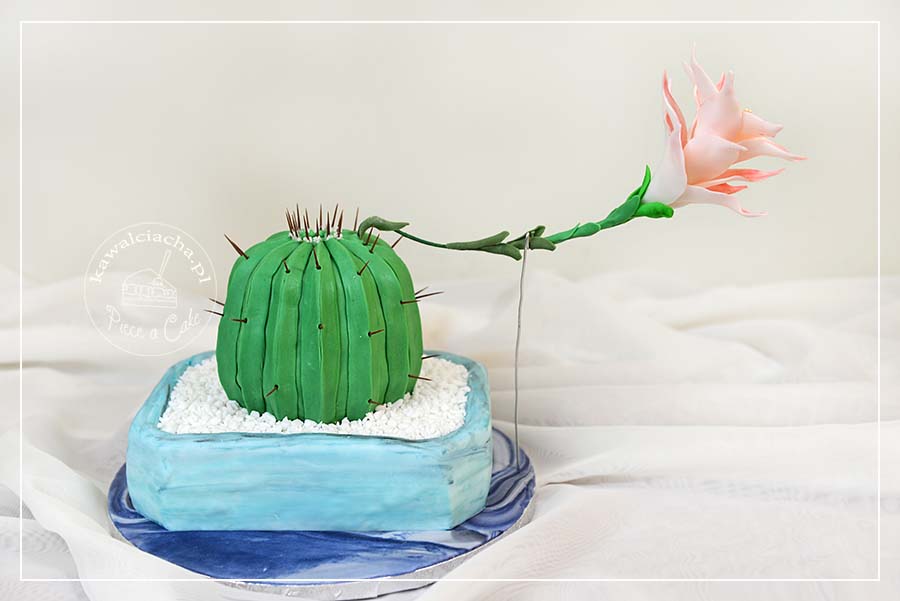 Obrazek: Tort piętrowy 3D kaktus